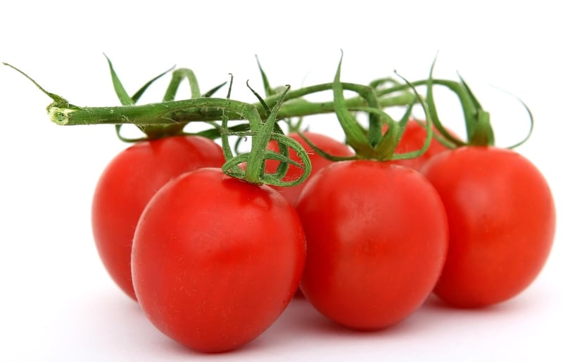 Fresh Salad